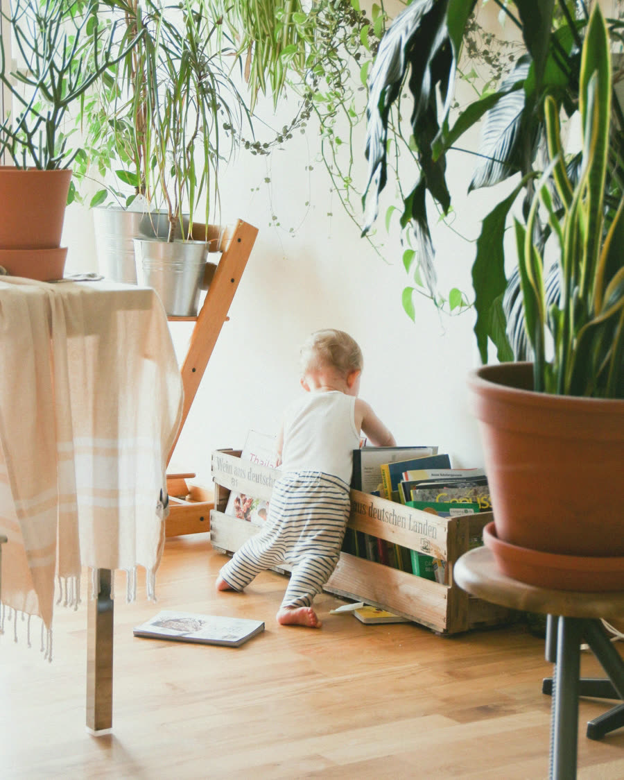 A baby playing near a bookshelf and plants, at home.
