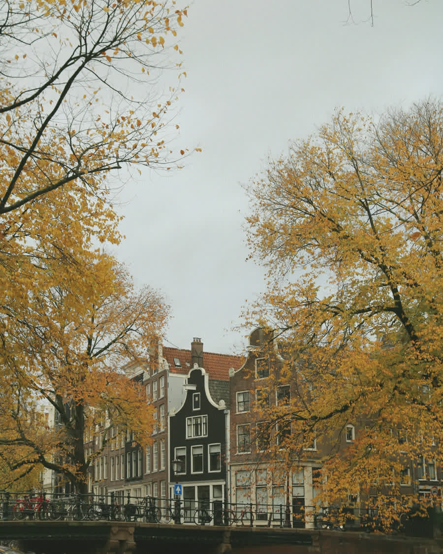 A canal lined with old houses in Amsterdam, in autumn.